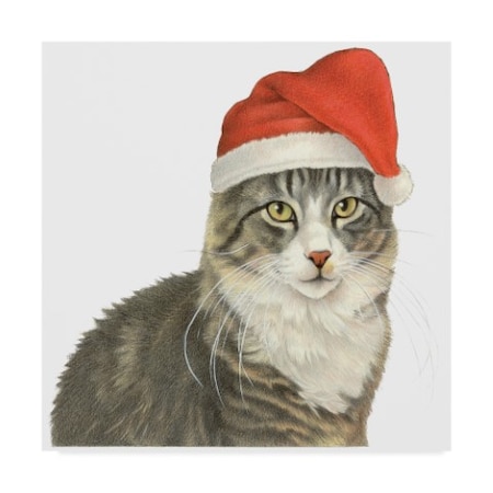 Francien Van Westering 'Christmas Kitty' Canvas Art,18x18